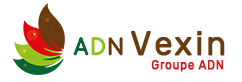 ADN VEXIN